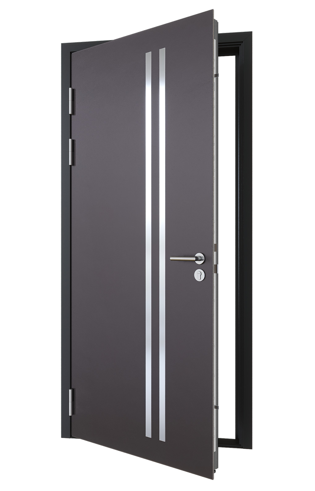 Входная дверь Werker Termoplus TP-16